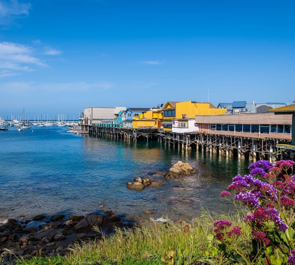 Colorful buildings line a pier beside a calm harbor, with flowers in the foreground.