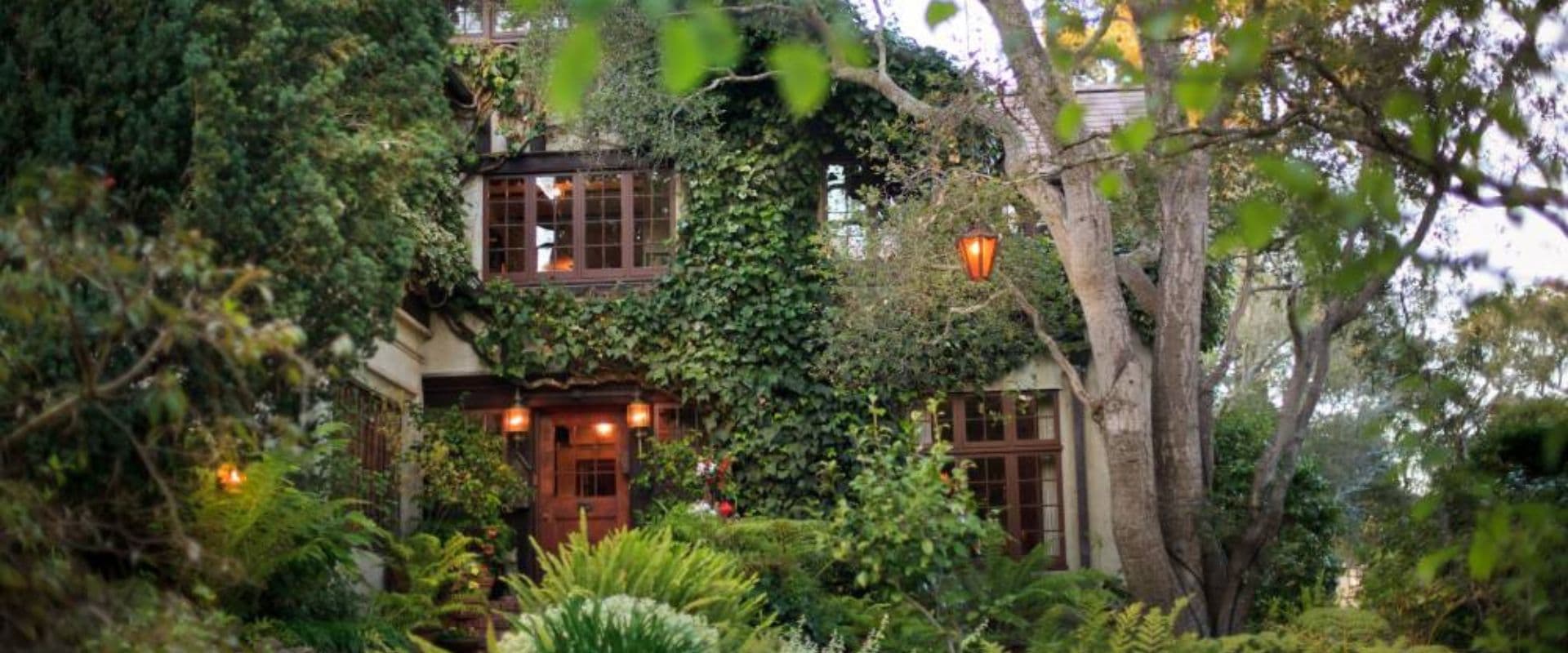 A charming, ivy-covered house surrounded by lush greenery and trees.