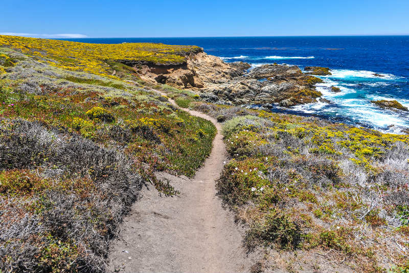 Garrapata State Park - Top Hiking Near Monterey CA