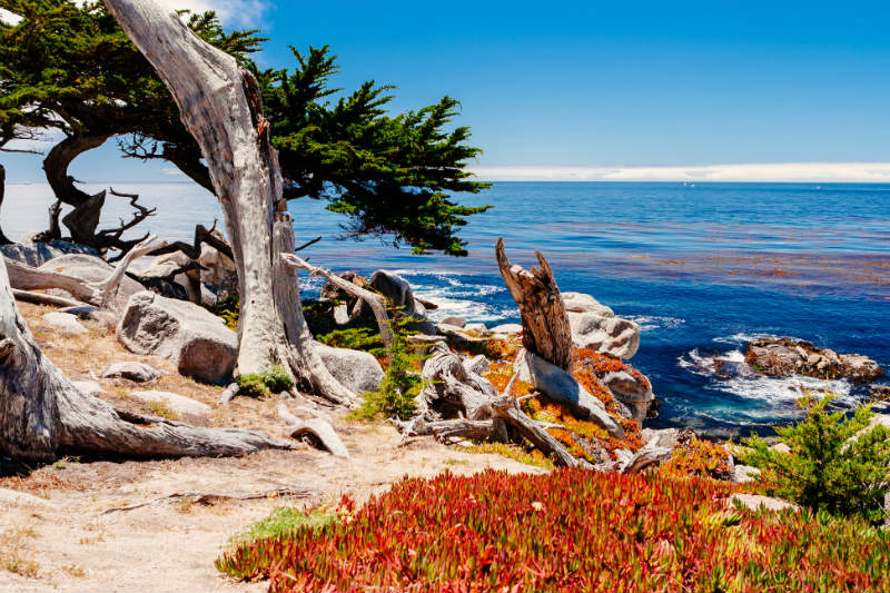 Best Hiking Near Monterey CA